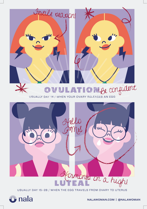Open image in slideshow, Nala Poster
